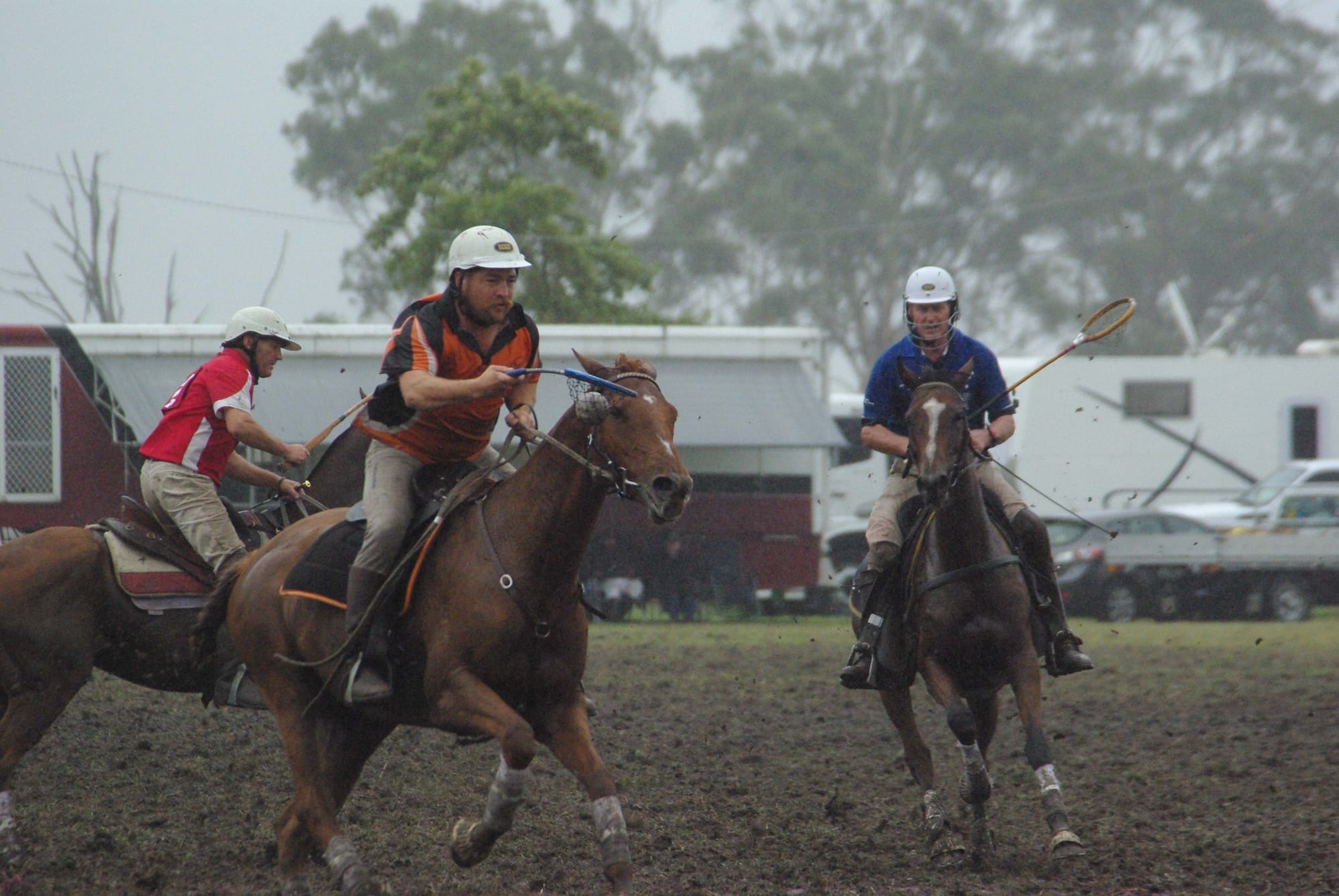 Traf Polox - 15.03.2022