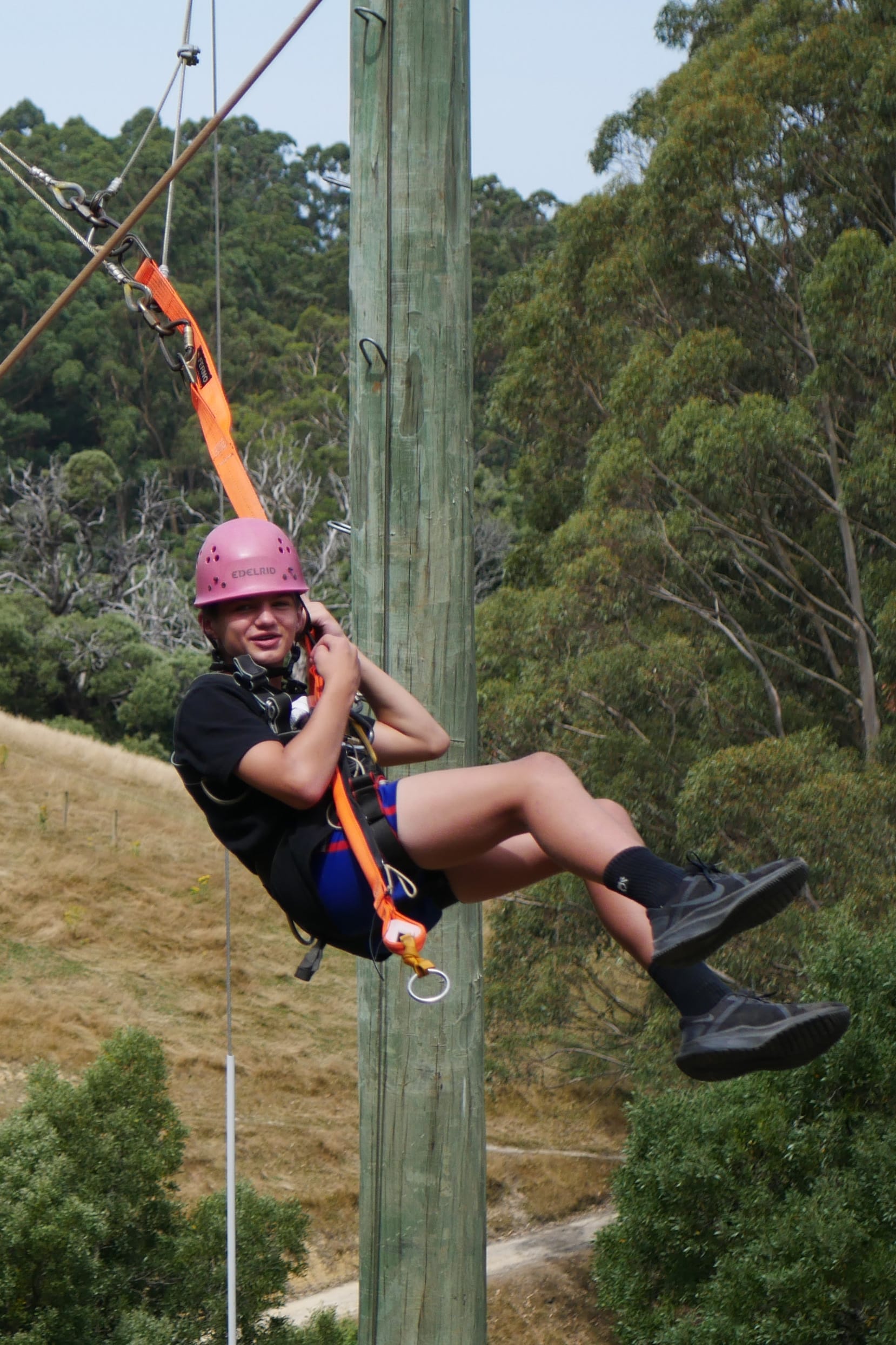 Fun at Camp Rumbug