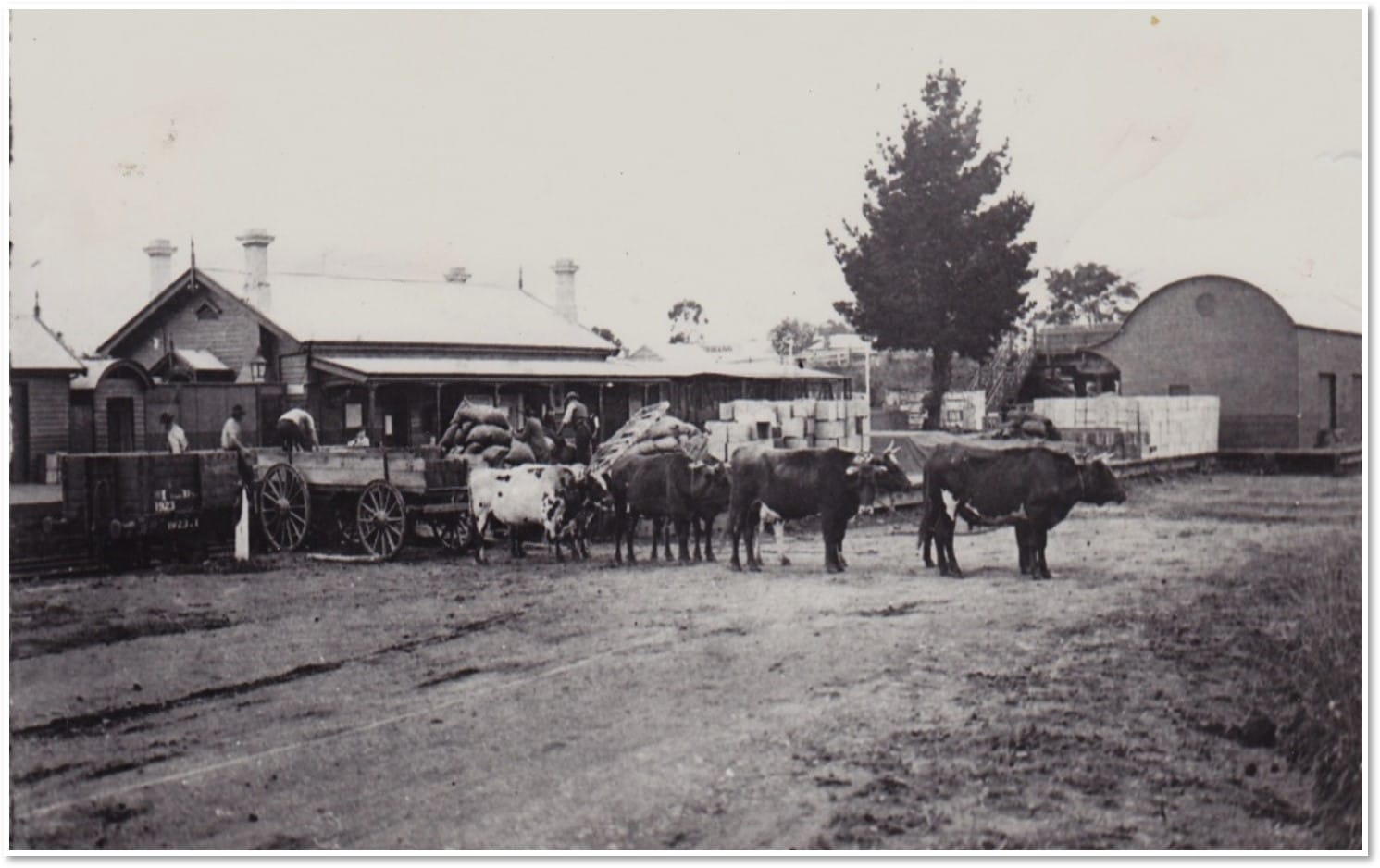 Snapshot of the Past: Drouin Railway Station