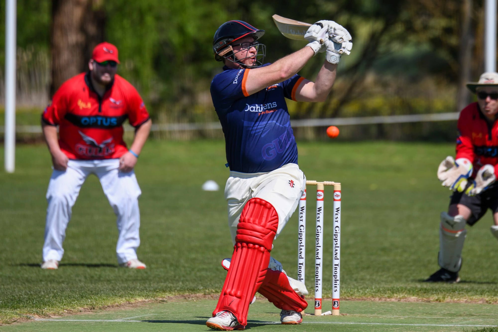 Gulls hoping to soar in Division 1 comeback