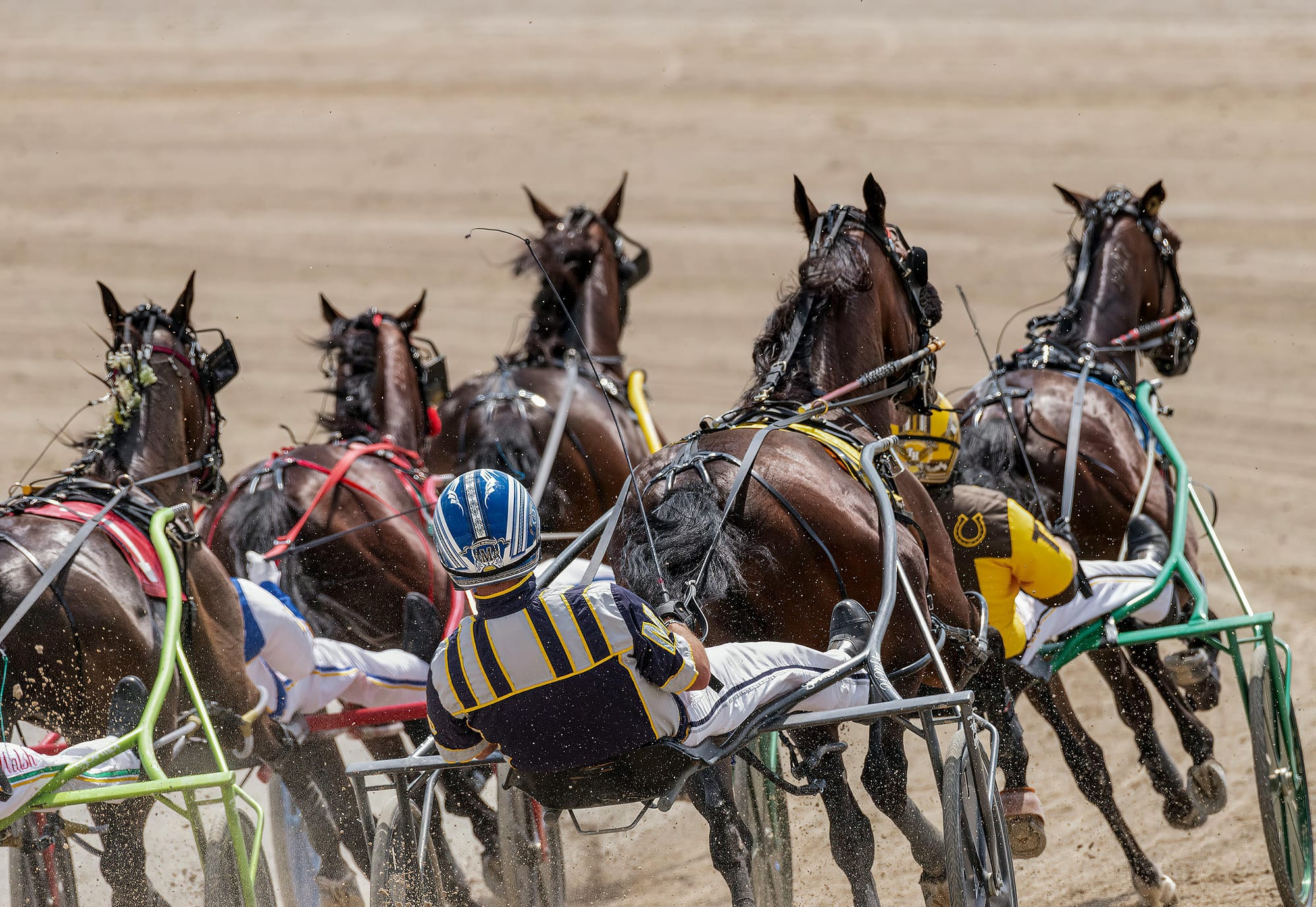 Forum to discuss harness racing issues