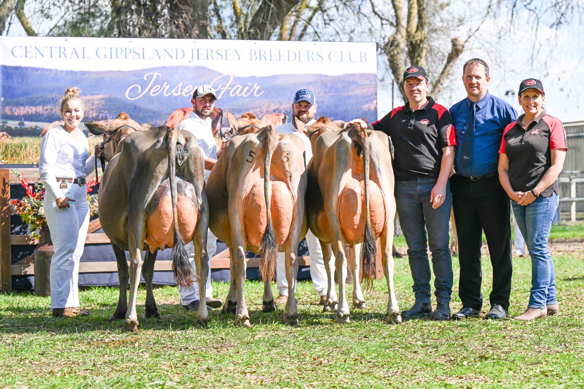 The intermediate champion line-up included (from left) Kaitlyn Wishart leading Brookbora Oliver Sleeping Beauty 3, (owned by the Bacon family), Ben Pedretti leading reserve intermediate champion, Cherrylock Dreaming Of Olives, (owned by Ben Pedretti), Simon Tognola leading honourable mention intermediate champion Brookbora Bashful Sweet Elfa- P (owned by the Bacon family), Glen Monson from Lely, judge Roger Heath and Danielle Auldist from Lely.