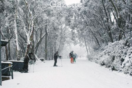 Cold snap hits