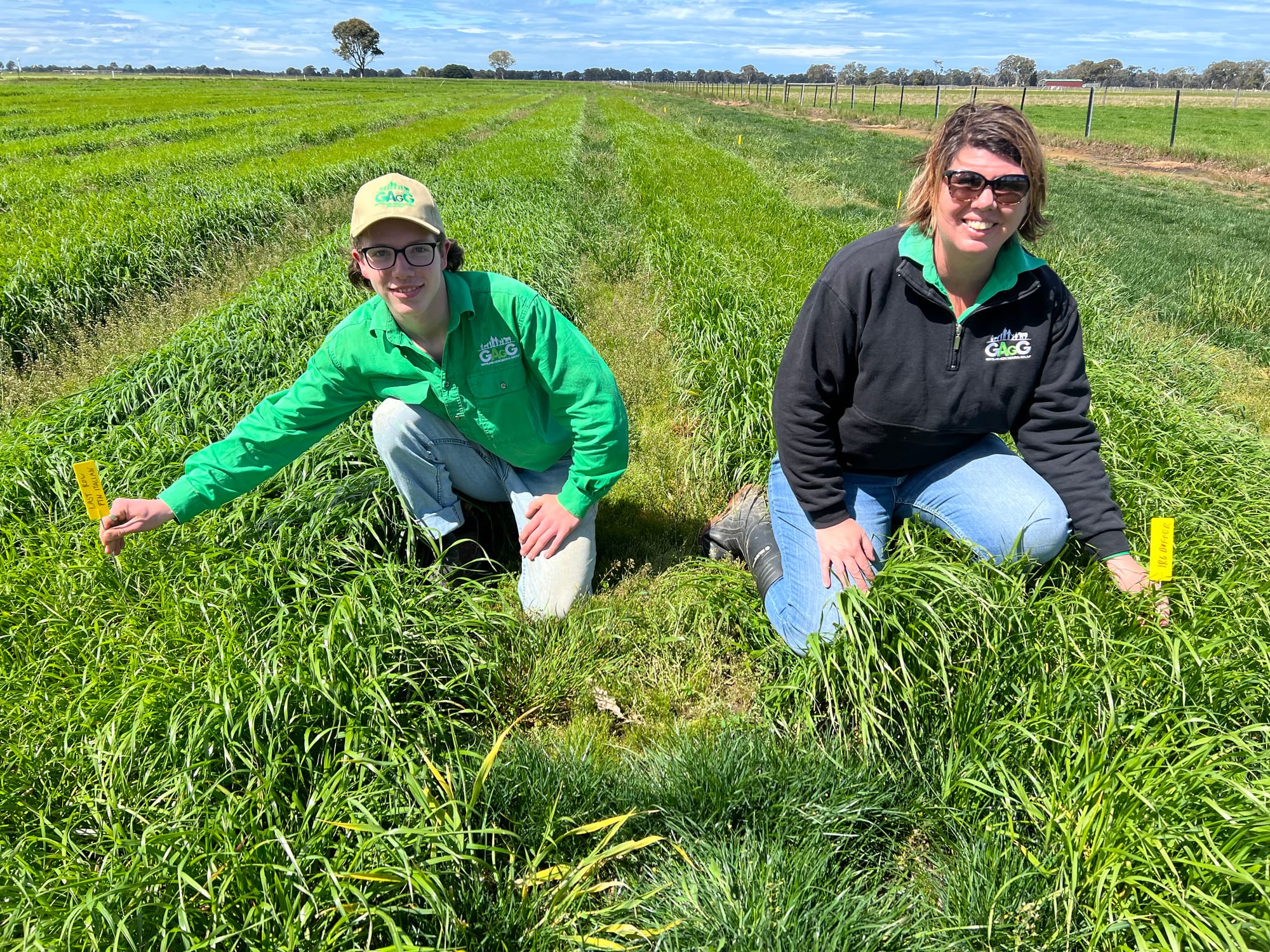 Rye demo at spring field day