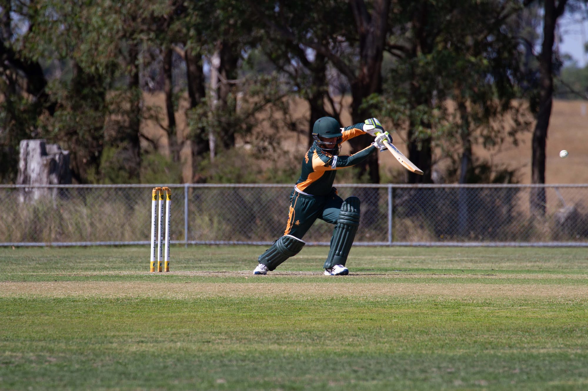 Cricket Div 1 Hallora Vs. Ellinbank - 12.03.2022
