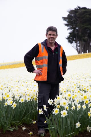 Spring Daffodils- 26.08.2021 