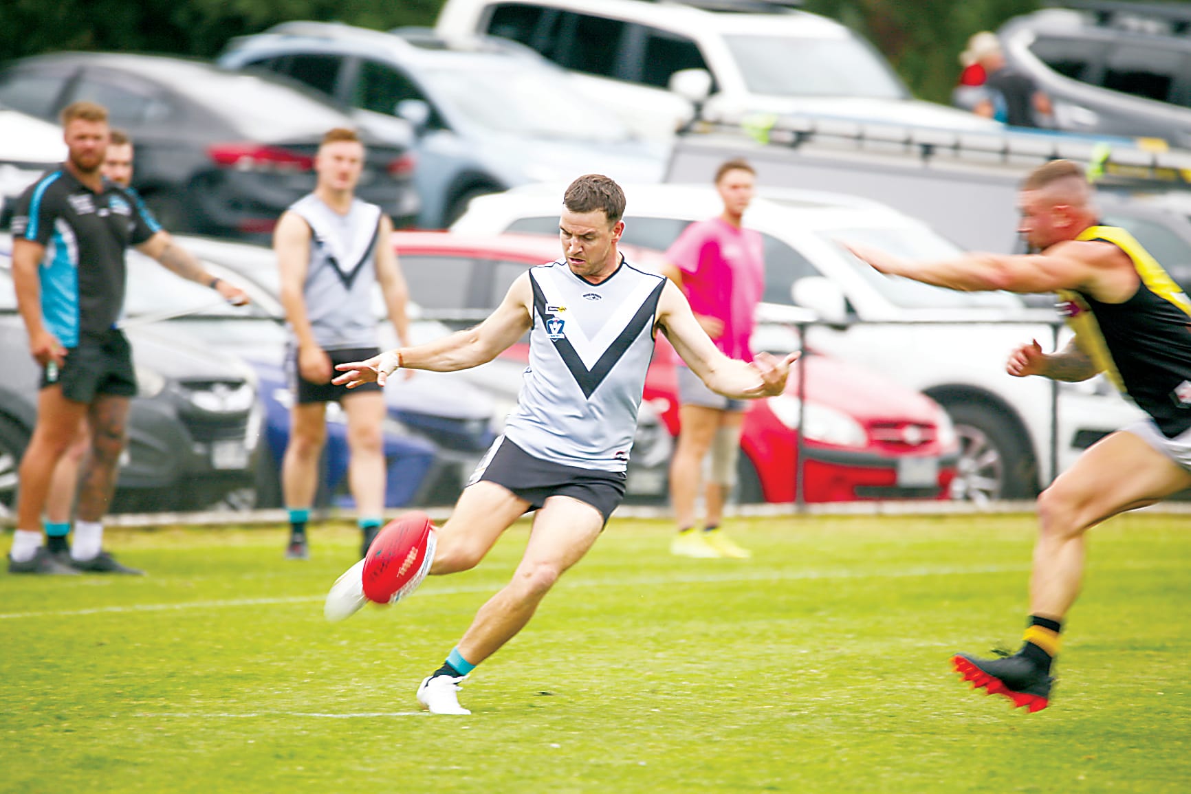 Panthers bounce back