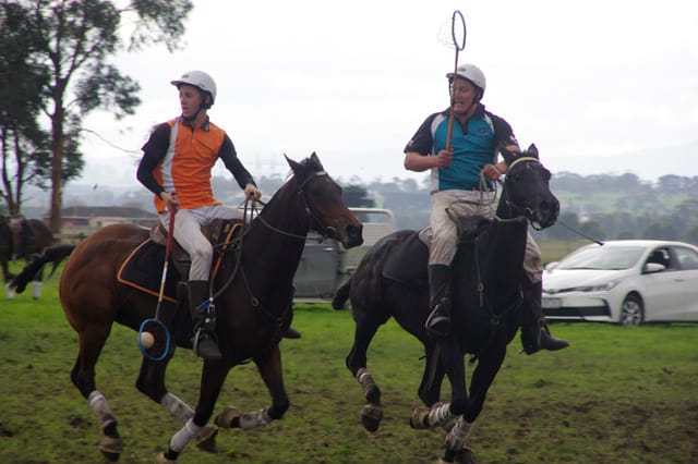 Trafalgar Polox - 2021 