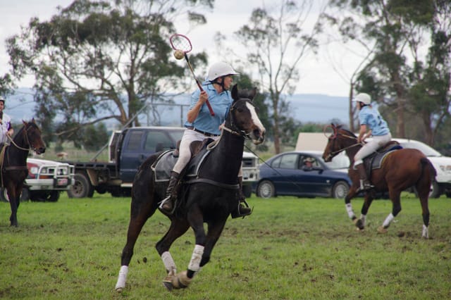 Trafalgar Polox - 2021 