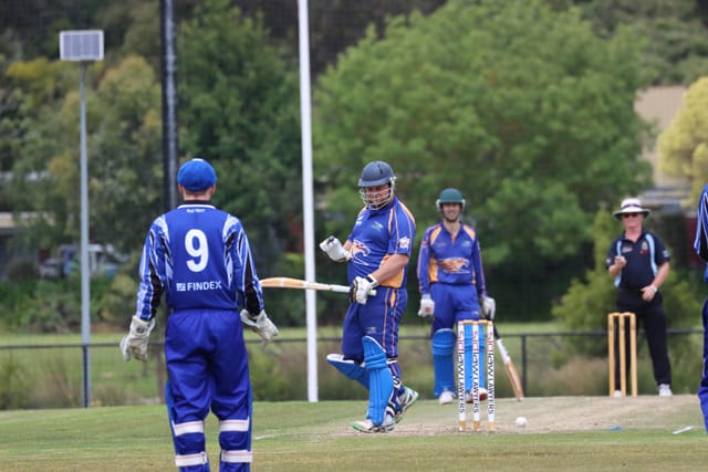 Cricket Div 1 Western Park v Ellinbank - 19112021