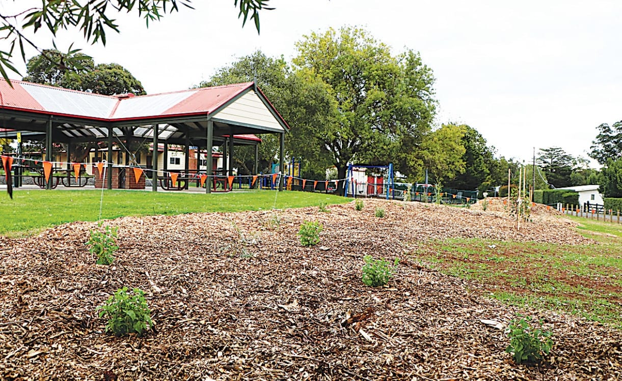 Missing plants spark disappointment at Rokeby