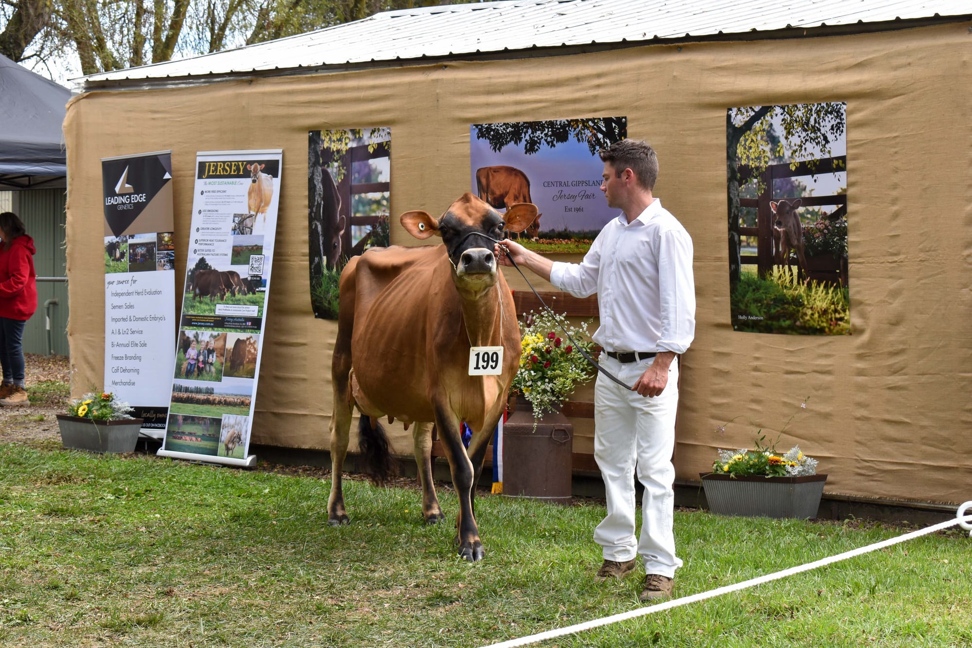 Jersey Cow Show 12.04.2022