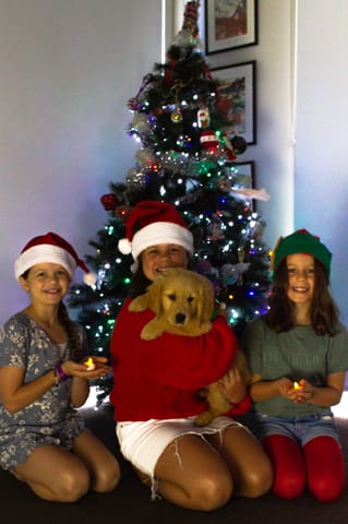 Christmas Photo -  16.12.2021