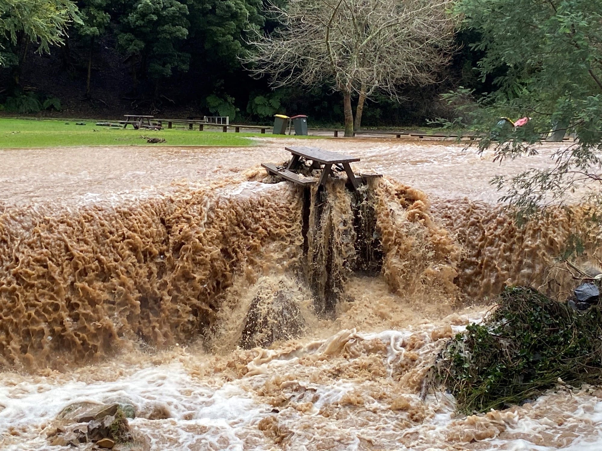 Storm damage sees Walhalla face multi-million dollar repair bill