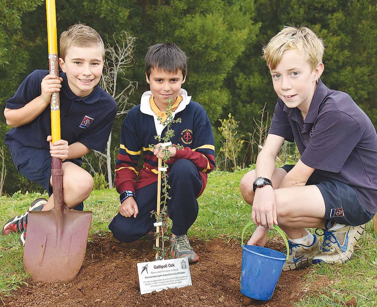 Tree honours soldiers