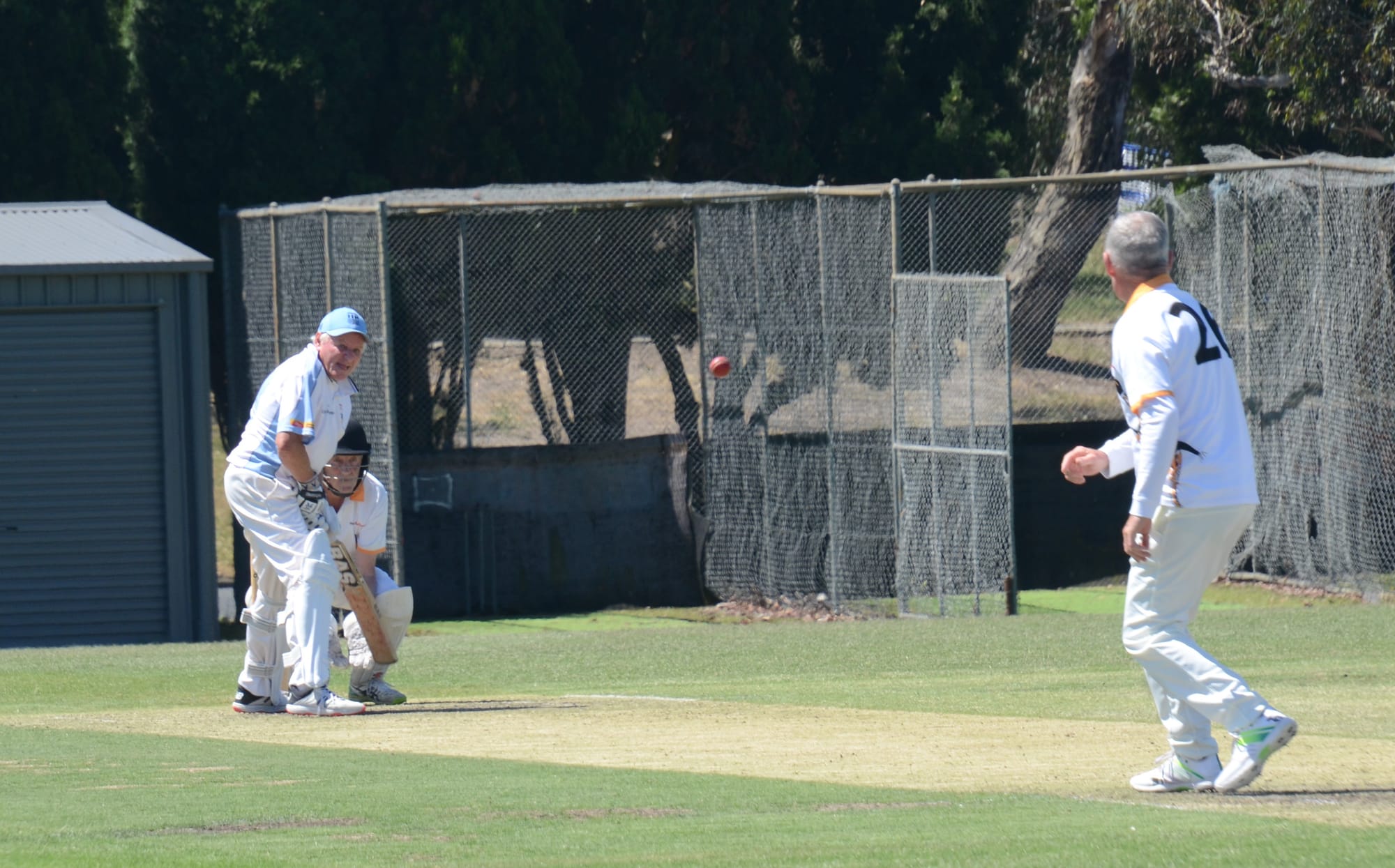 Goannas fall in first match back