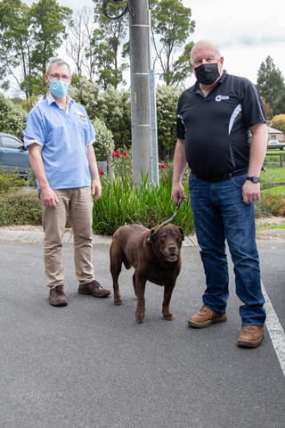 Vets Pet Care- 14.10.2021 