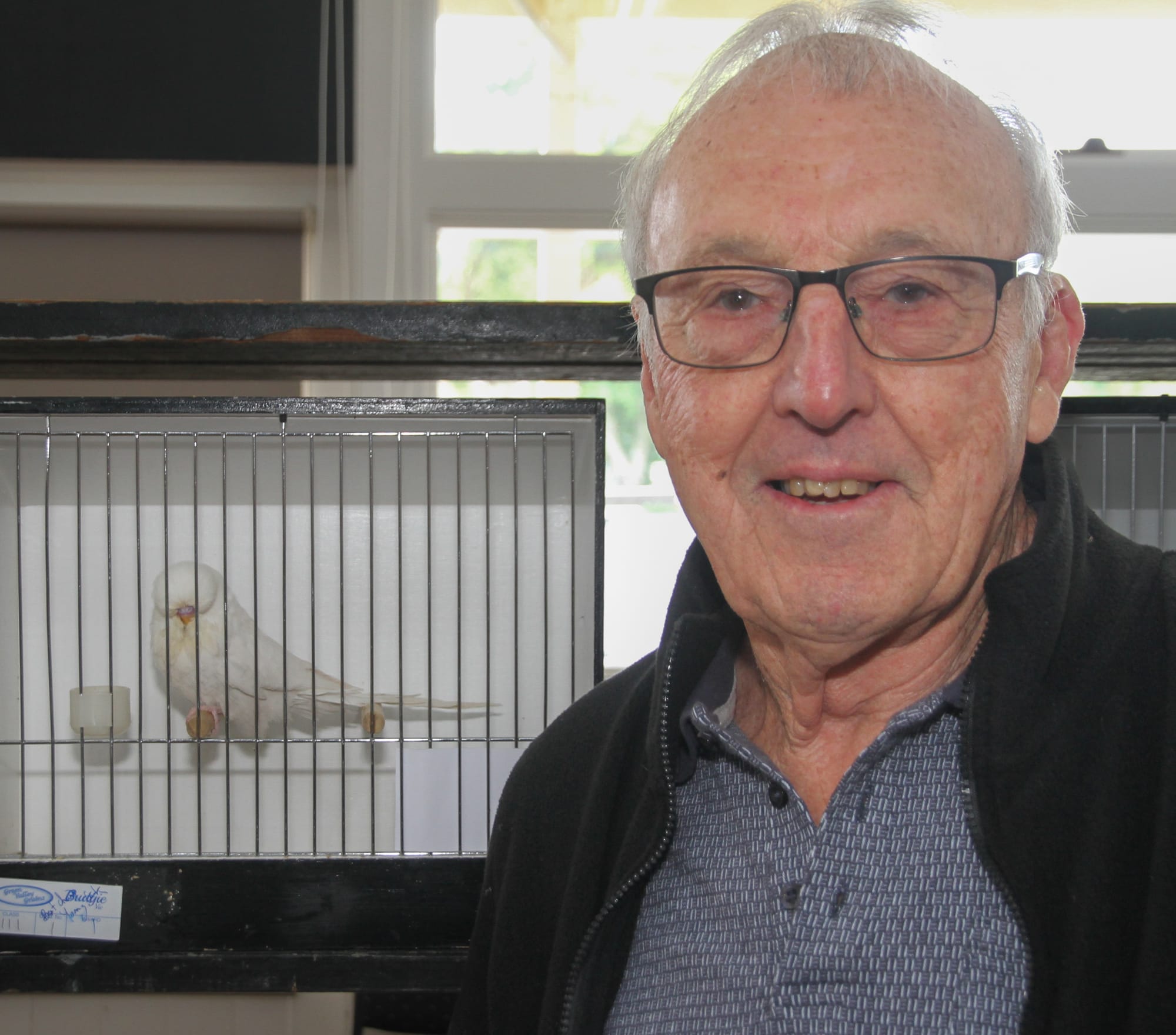 Strong turnout for budgerigar show