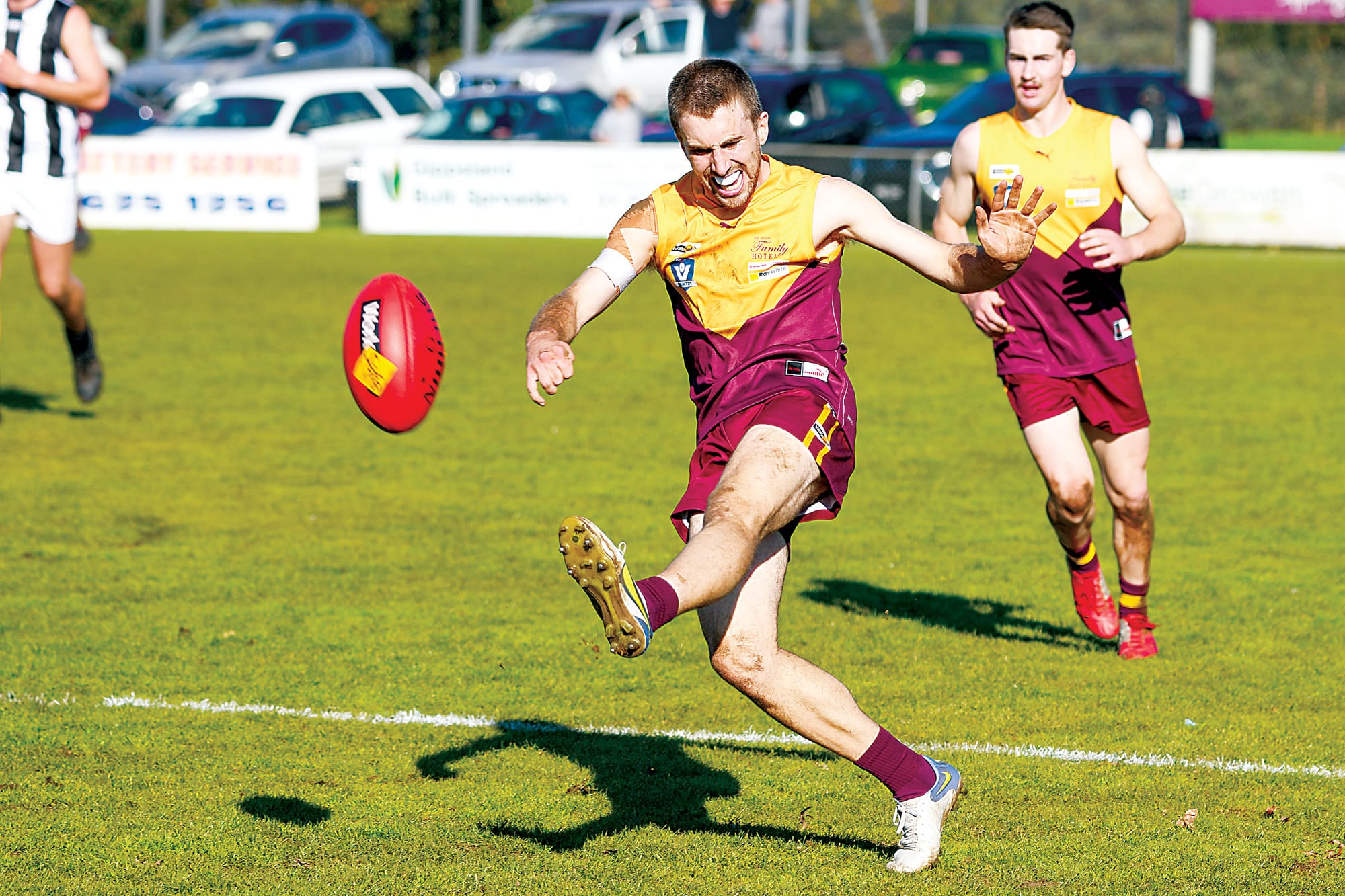 Hawks hurt themselves in Maffra mauling