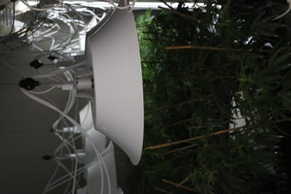 Police raid Drouin house