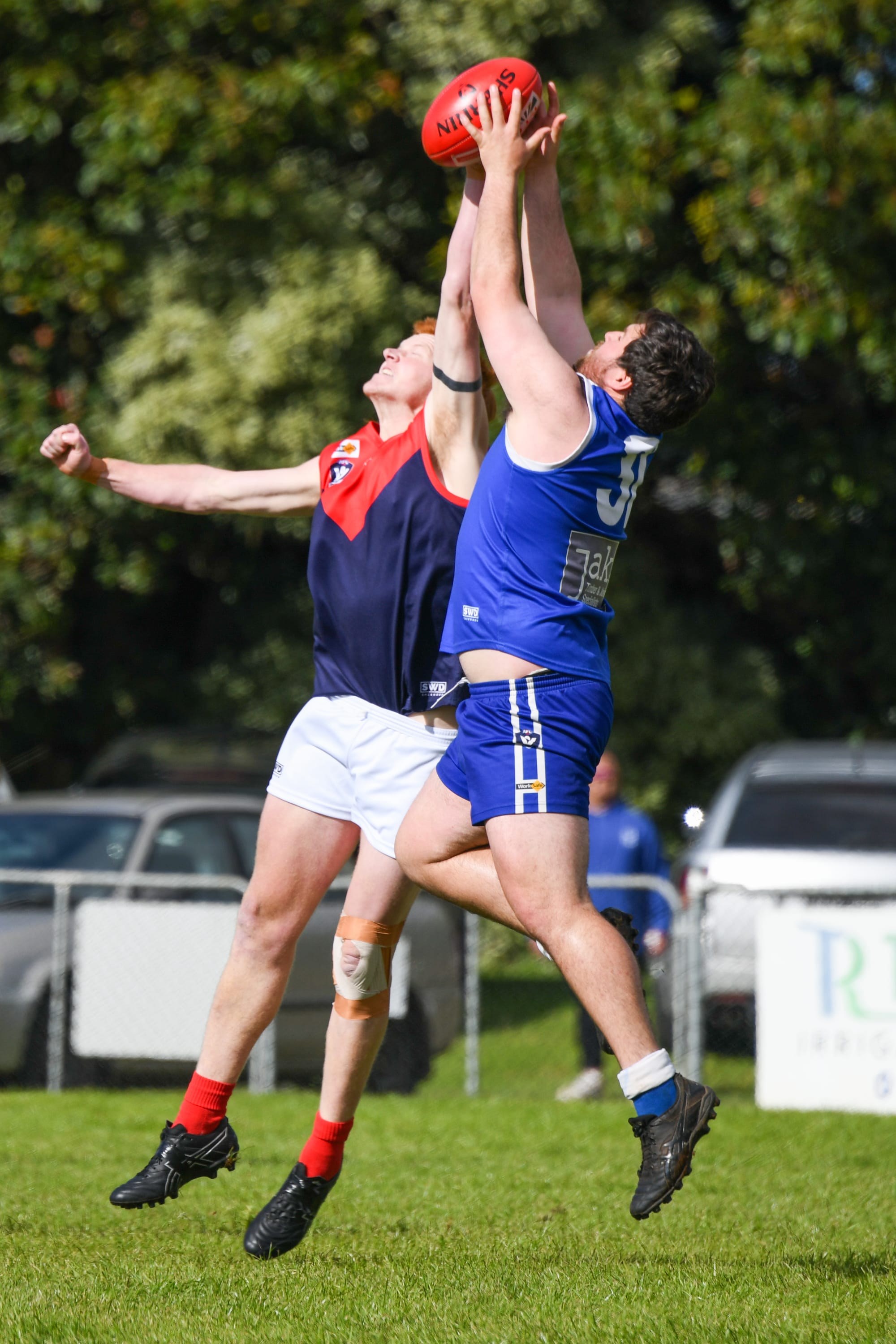 Blues prove credentials