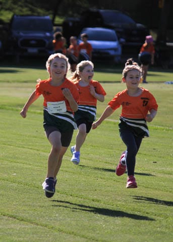 Little Aths Twilight - 15.12.2023