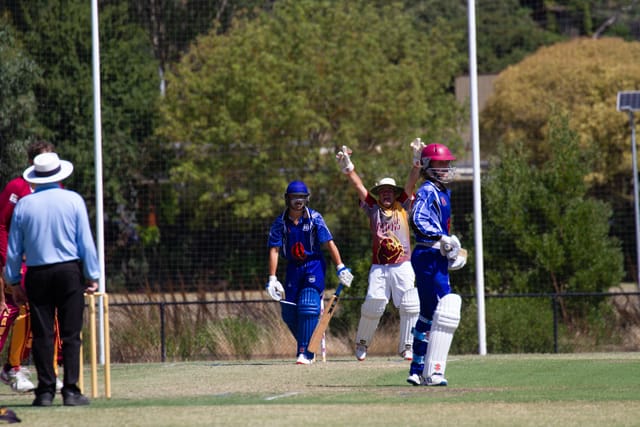 Cricket Div 2 Western Park Vs. Drouin - 19.02.2022