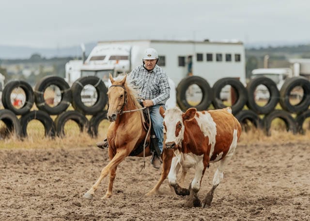Trafalgar Campdraft - 30.01.2024