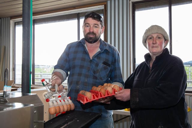 Gippsland Freerange Eggs