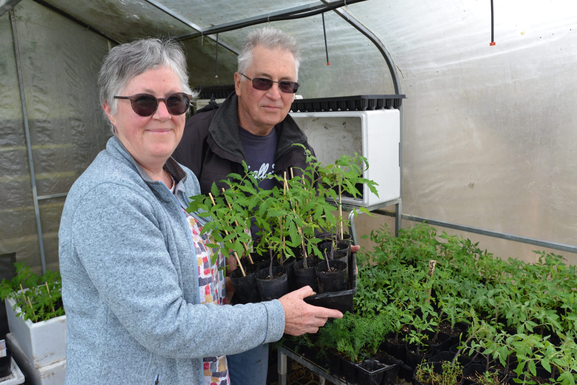 Marg Stammers and David Baylis undertake final preparations ahead of Warragul Community Garden's first plant sale on Melbourne Cup Day. A few hundred plants will be available at the Eastern Park garden.