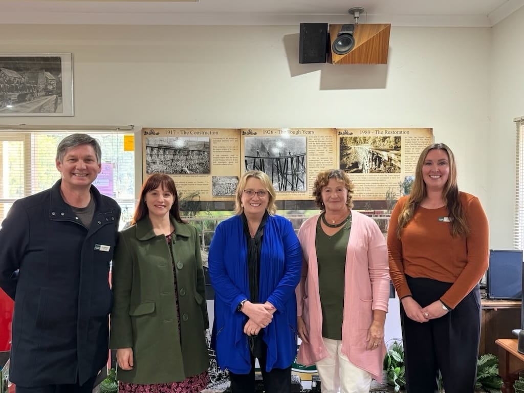 Funding to identify Noojee's strengths