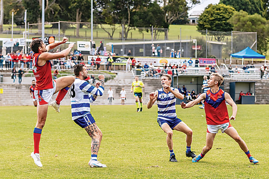 Undefeated Lyrebirds and Bloods clash in EDFNL