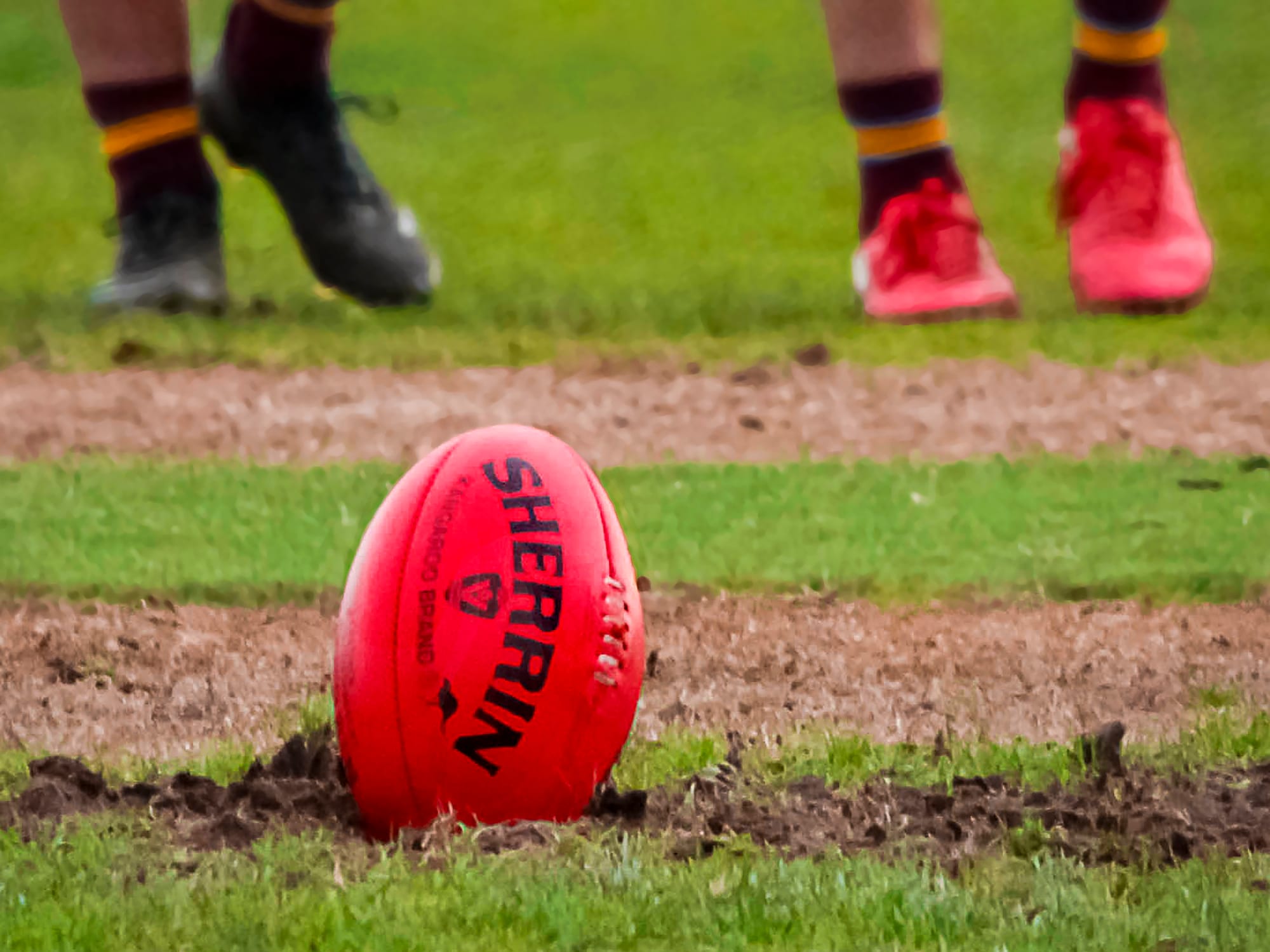 Lang Lang spoils Poowong party