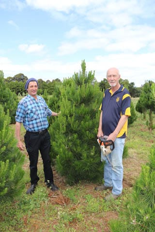 Rotary Xmas Trees - 06.12.2022