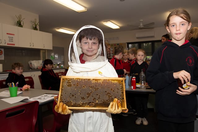 Nilma PS Bee Day - 29.06.2021 