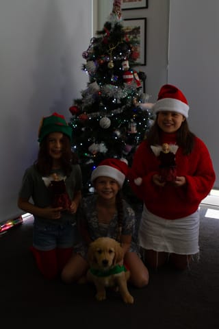 Christmas Photo -  16.12.2021
