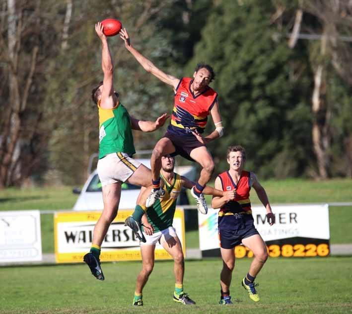 Yarragon wins Waterloo Cup