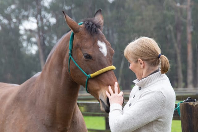 Horse & Calf - 26.08.2021  