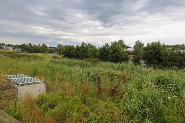 Drouin Trees - 03.01.2023