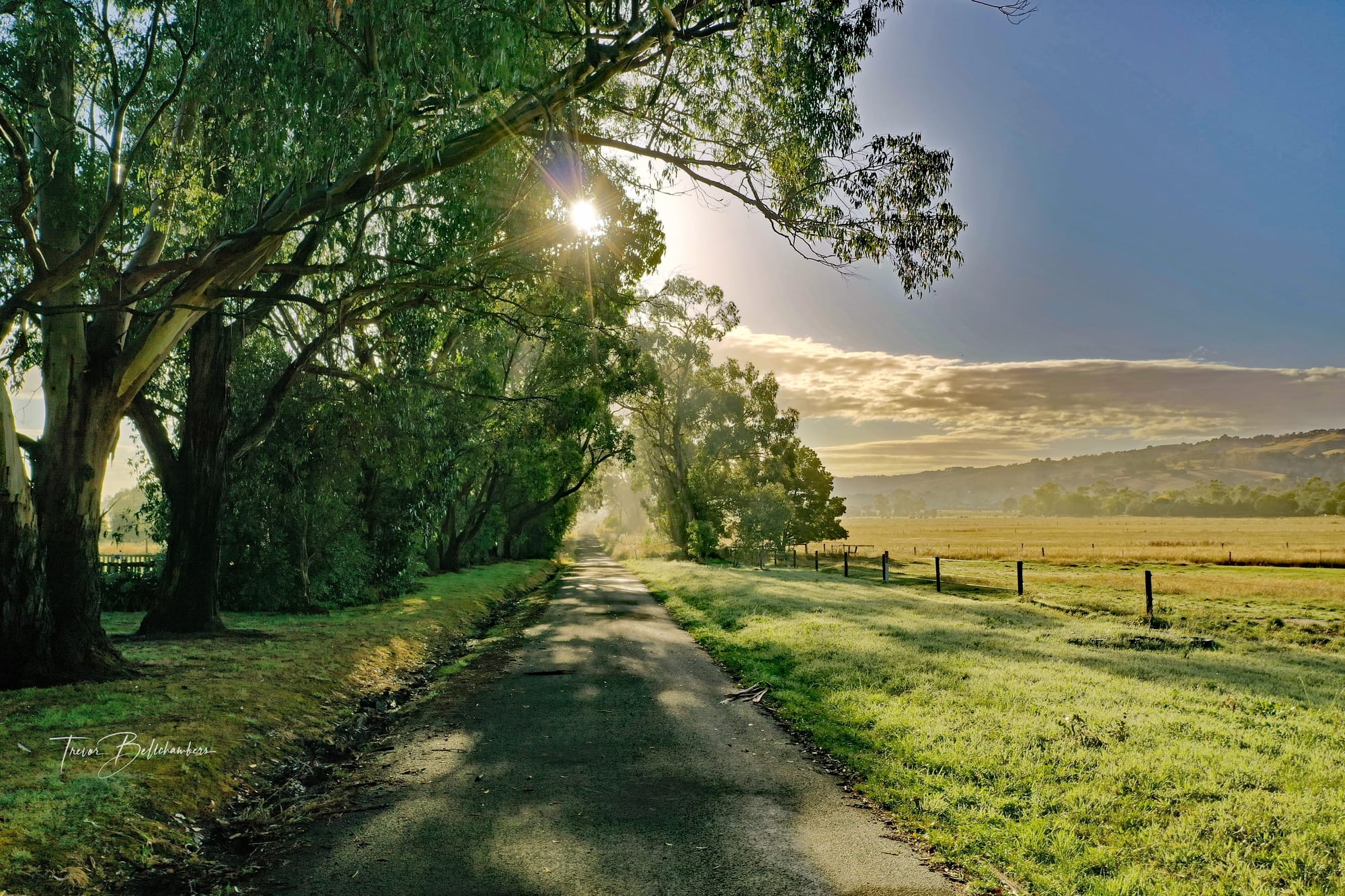 Last chance to enter the Readers' Photographic Competition