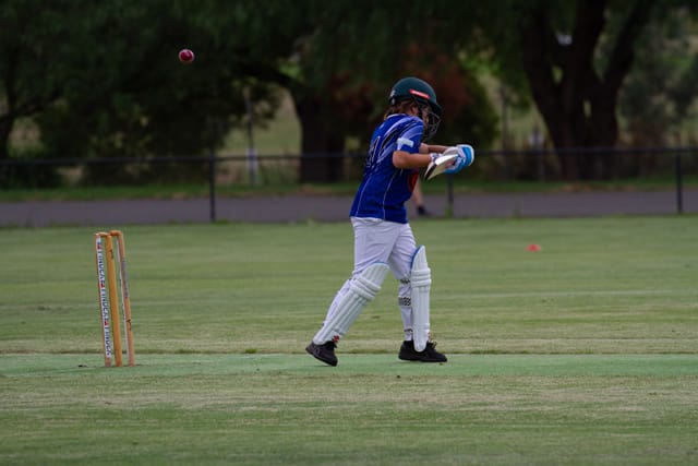 Cricket (U14's) Western Park Vs. Jindivick - 17.01.2022