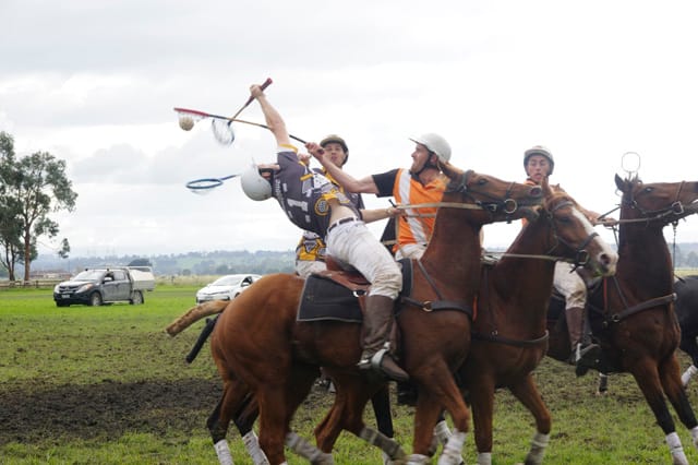 Trafalgar Polox - 2021 