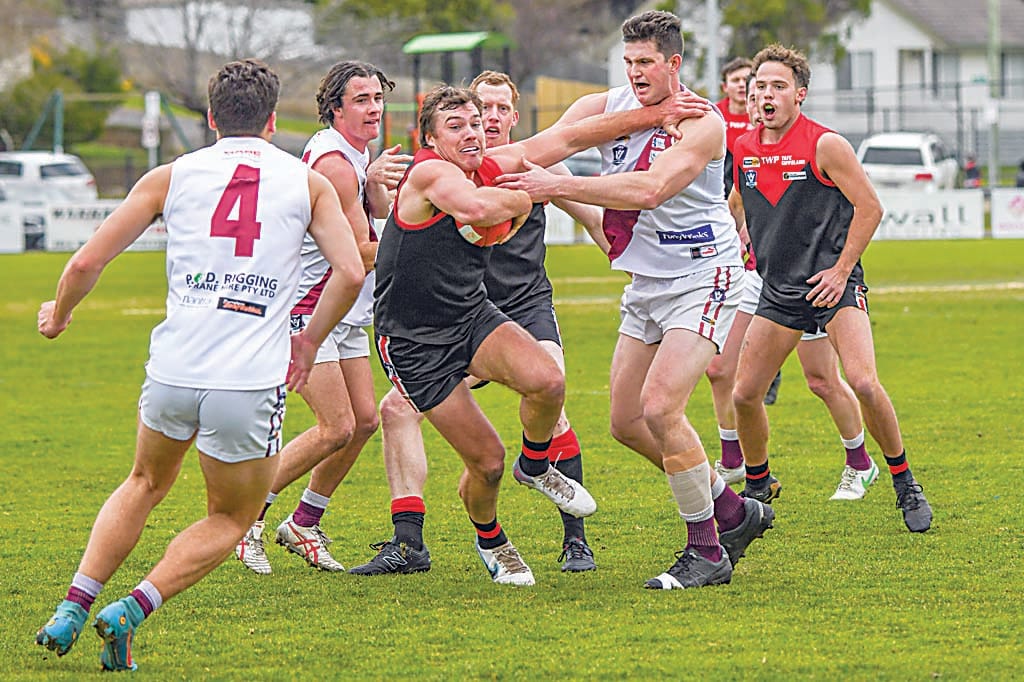 Gulls punished in Maroon mauling