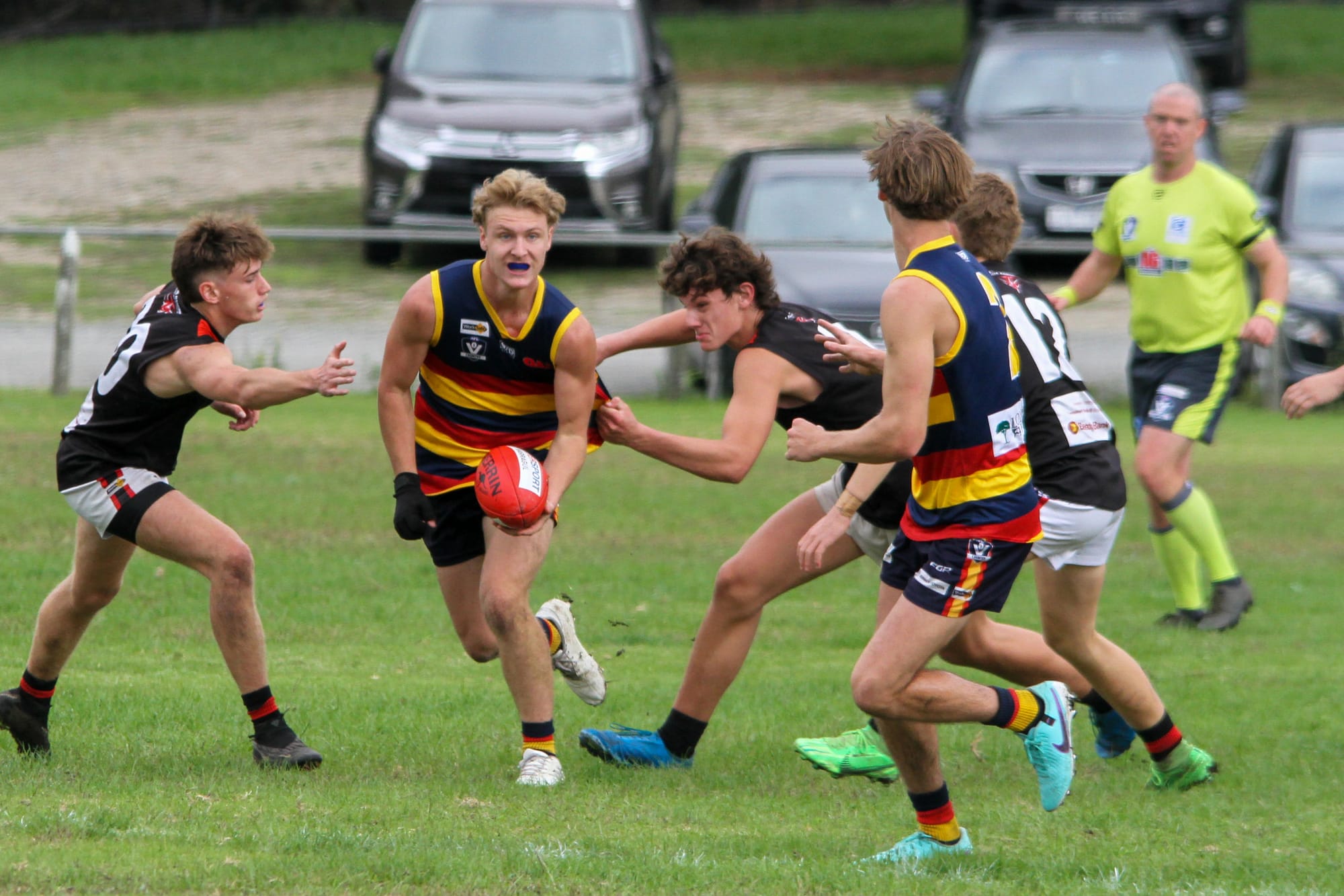 Crows crush Bombers