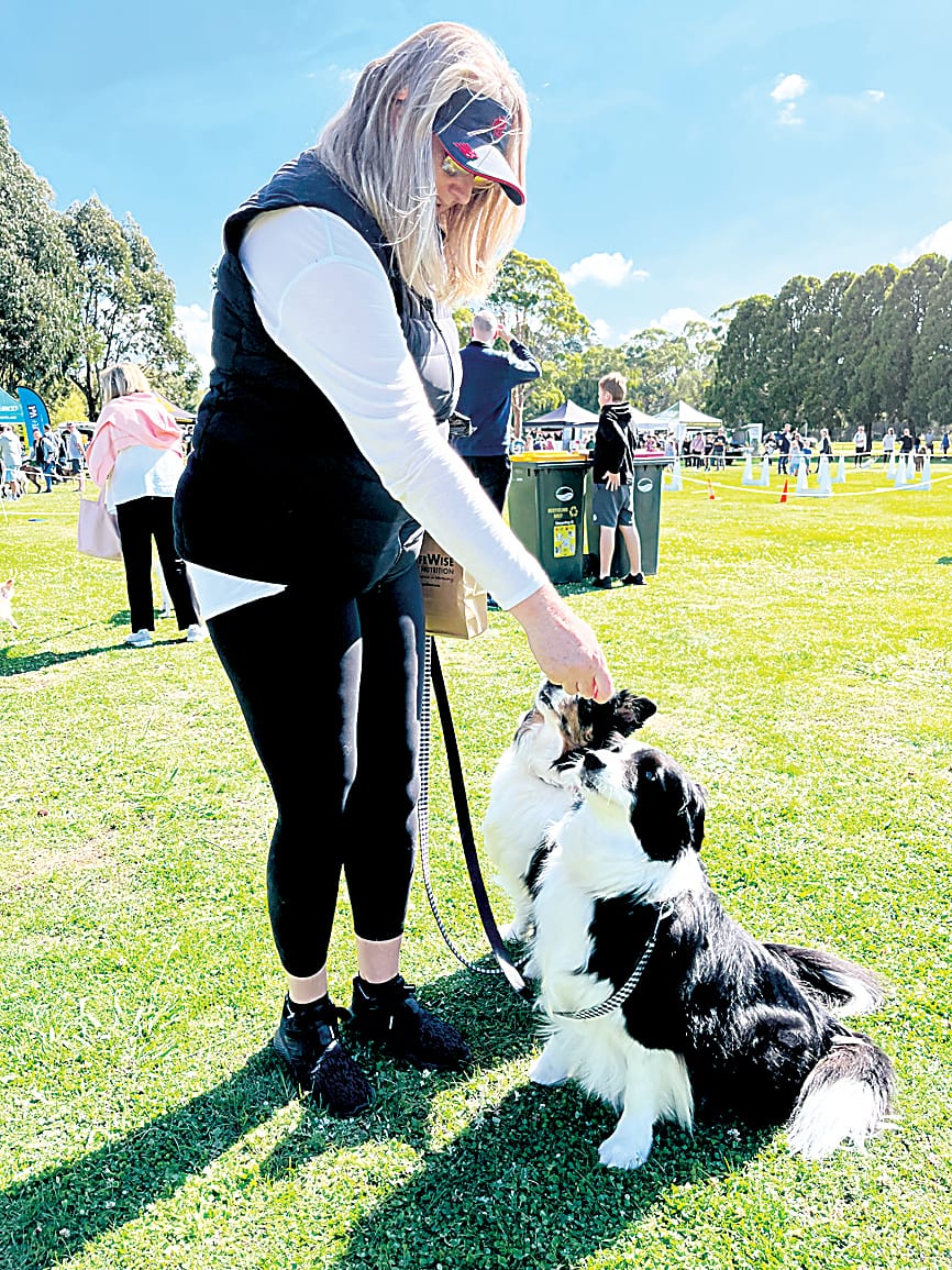 Di Phillips gives Border Collies Bella and Night some treats.
