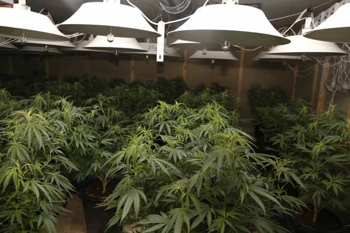 Drouin drug house raided