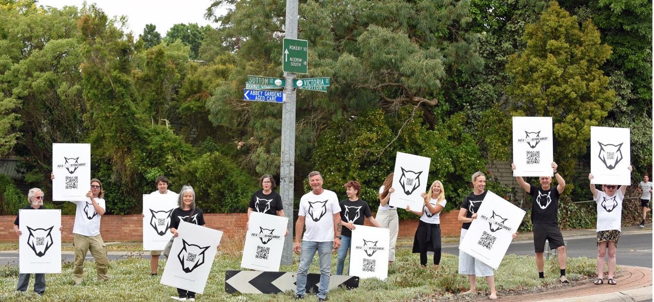 Wolfe guarantees strong local vote