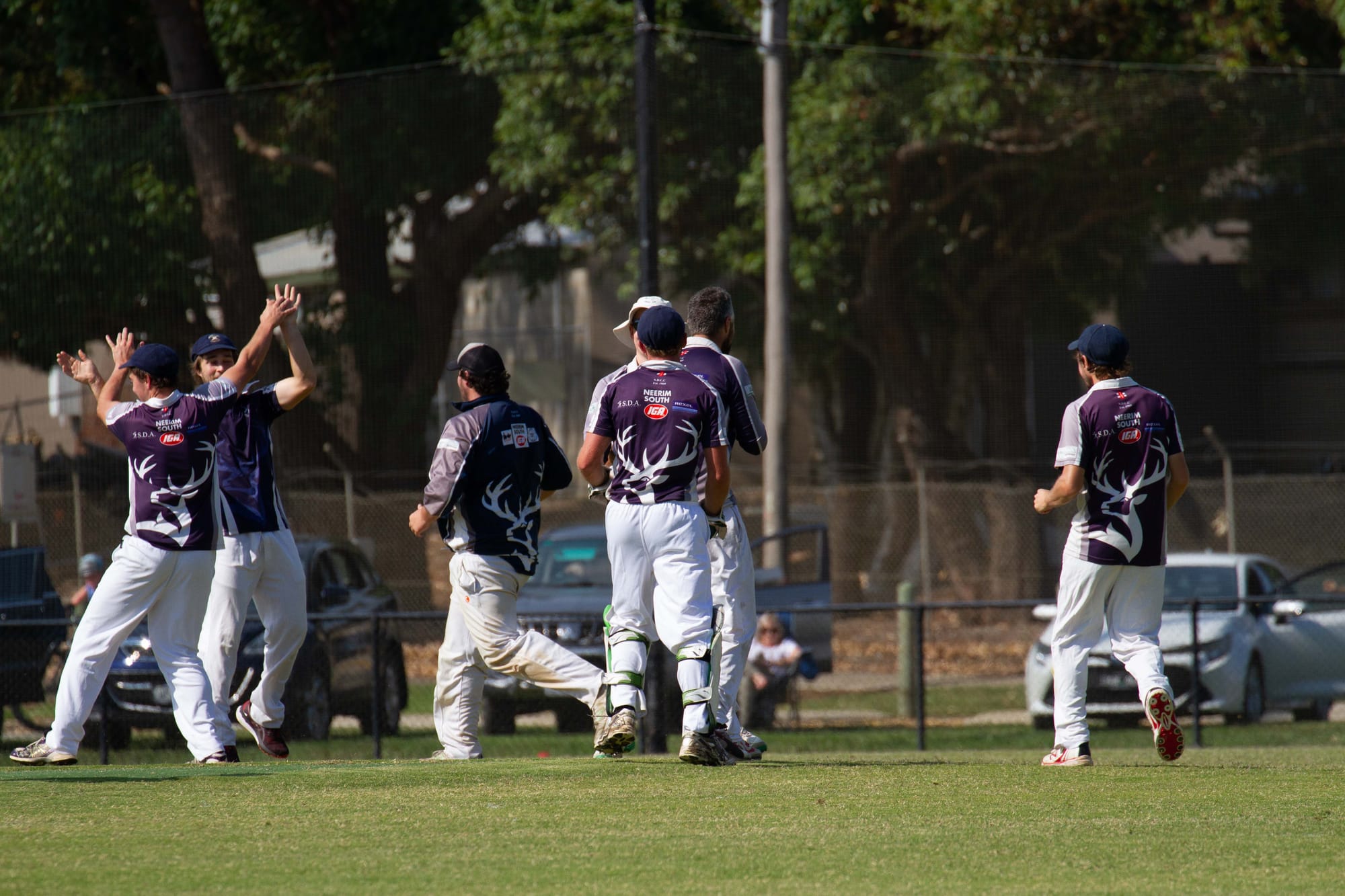 Cricket Div 1 Western Park Vs. Neerim District - 12.03.2022