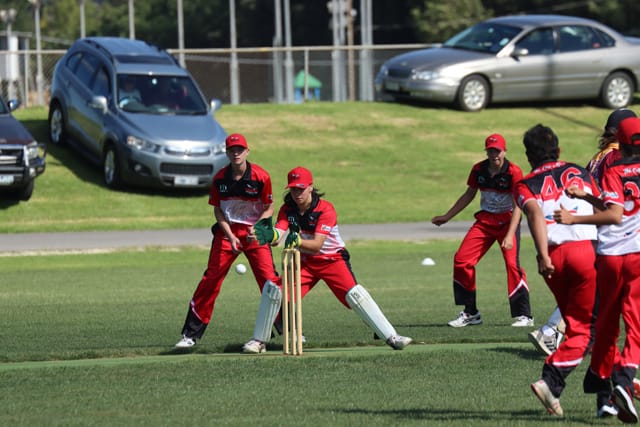 Cricket U16s Warragul Vs. Drouin - 05.02.2022