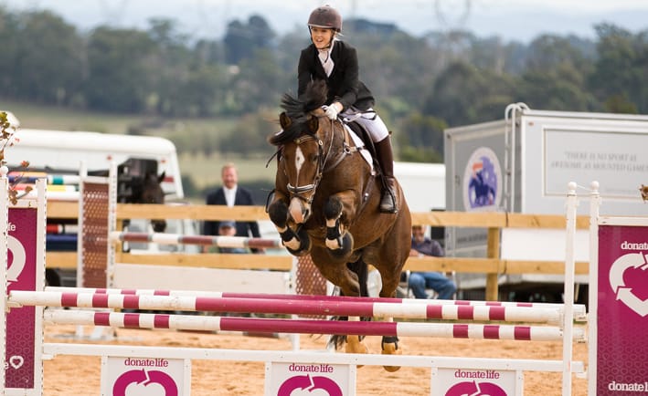 Farm World, a crowd pleaser